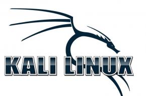 Установка Kali Linux вместе с Windows Установка кали линукс рядом с виндовс 7